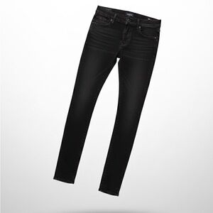Hudson Jeans Women's Black Low Rise Skinny Jeans